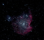 NGC2175