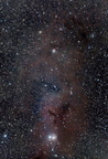 NGC1333