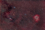 Cone Nebula and Rosette Nebula