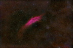 California Nebula